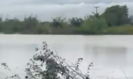 Αγρίνιο: Προβλήματα από τις βροχές - Πλημμύρισαν δρόμοι, μπήκαν νερά σε σπίτια (BINTEO)