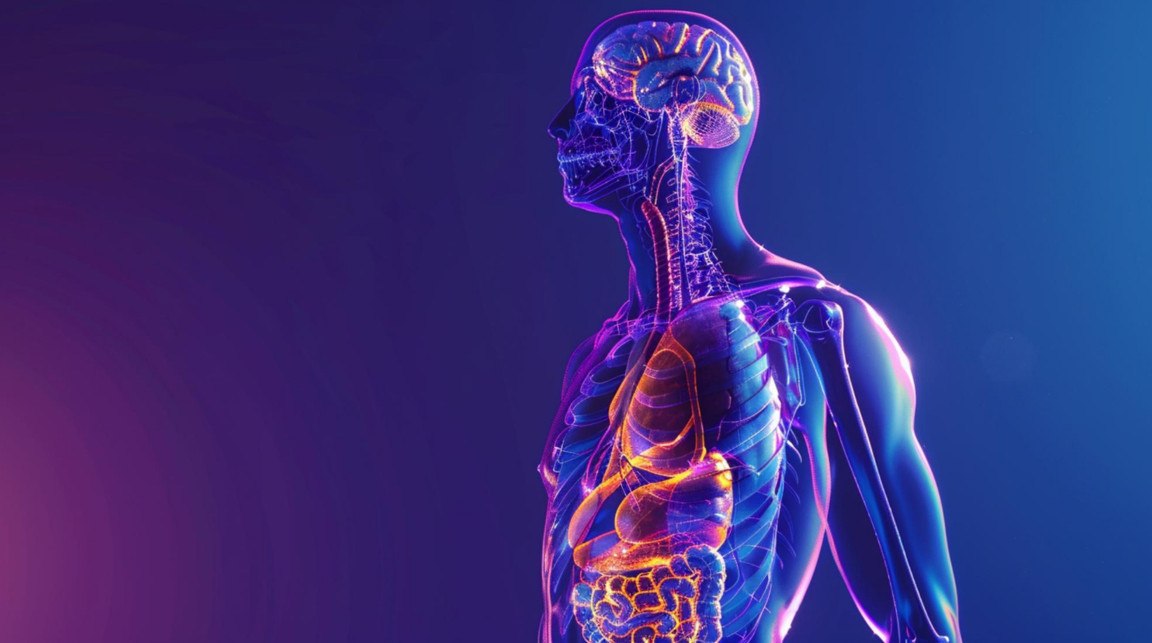 Σοκαριστική προσομοίωση: Τι συμβαίνει πραγματικά στο σώμα σας όταν δεν τρώτε για 24 ώρες