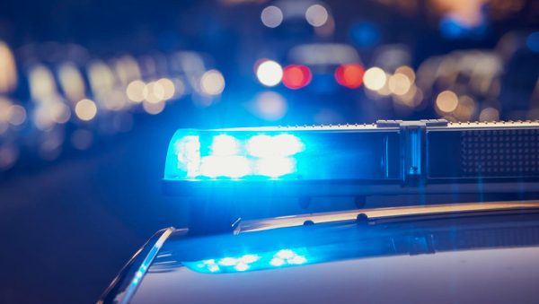 Έγκλημα τιμής στην Ολλανδία: Αδελφοί απήγαγαν και έπνιξαν σε βάλτο την 18χρονη αδερφή μετά από εντολή του πατέρα