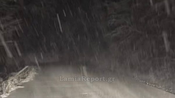 Πυκνό χιόνι στα βουνά της Φθιώτιδας (ΒΙΝΤΕΟ)