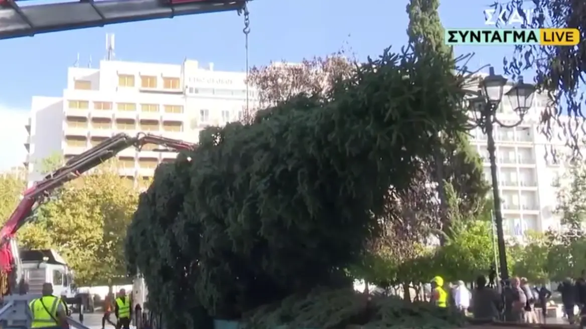 Σε Σύνταγμα και Αριστοτέλους τα χριστουγεννιάτικα δέντρα σε Αθήνα και Θεσσαλονίκη - Δείτε βίντεο