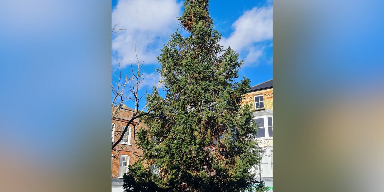 Χριστουγεννιάτικο δέντρο «από τα Temu» -Οργίστηκαν οι κάτοικοι βρετανικής πόλης, τι αντίκρισαν και αντέδρασαν