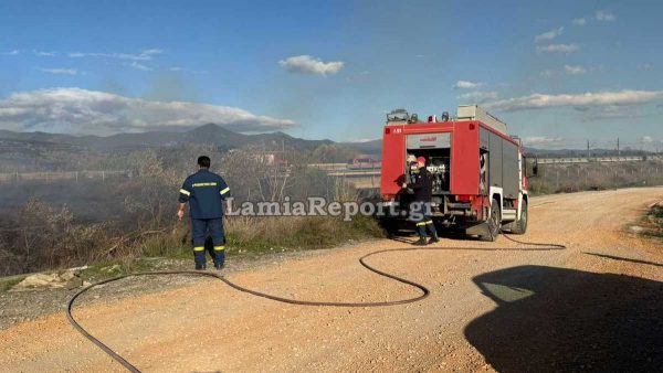 Συνεχίζουν να πέφτουν πρόστιμα στην Εύβοια για τις φωτιές