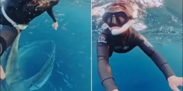 Απίστευτο βίντεο: Φάλαινα παραλίγο να καταπιεί ολόκληρη μια δύτρια! (ΒΙΝΤΕΟ)