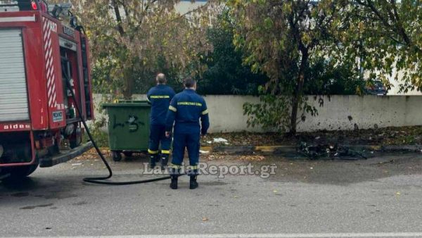 Στάχτη έγινε κάδος απορριμμάτων στη νότια Λαμία (ΦΩΤΟ)