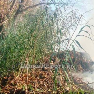 Πυρκαγιά σε καλαμιές στη νότια Λαμία κινητοποίησε την πυροσβεστική
