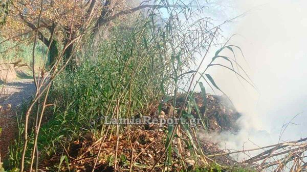 Πυρκαγιά σε καλαμιές στη νότια Λαμία κινητοποίησε την πυροσβεστική