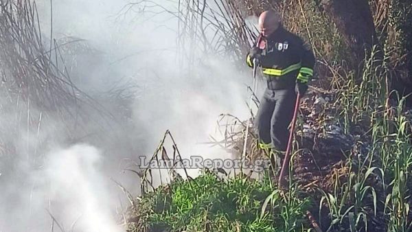 Φθιώτιδα: Κινητοποίηση της πυροσβεστικής για πυρκαγιά σε καλαμιές (ΦΩΤΟ)