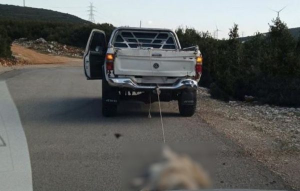 Απάνθρωπο! Έσερνε με το αγροτικό του νεκρό σκύλο