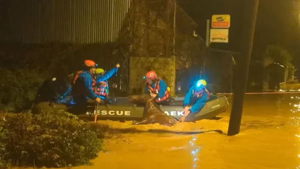 Απεγκλώβισαν άλογο που είχε παγιδευτεί από τις έντονες βροχοπτώσειες στη Φιλιππιάδα - Δείτε βίντεο