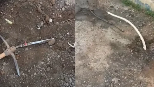 Μάνδρα: «Πατέντα» με παράνομο καλώδιο ρεύματος και δίκτυο υδροδότησης σε οικισμό – Τα ξήλωσαν οι αρχές