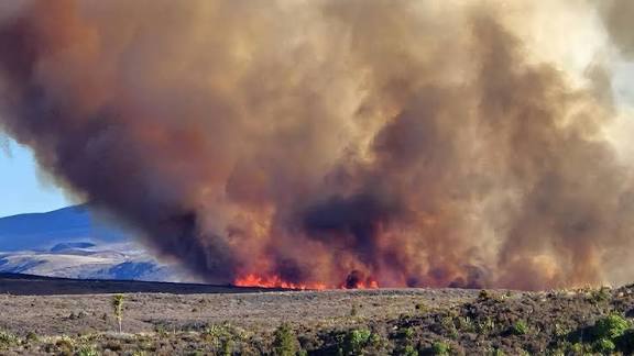 Νέα Ζηλανδία: Πύρινη κόλαση σε εθνικό πάρκο – Η φωτιά έκανε στάχτη 11.000 στρέμματα πράσινου