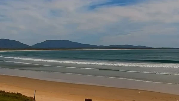 Σίδνεϊ: Ταυροκαρχαρίας κατασπάραξε 20χρονη σε παραλία – Σε κρίσιμη κατάσταση ο σύζυγός της