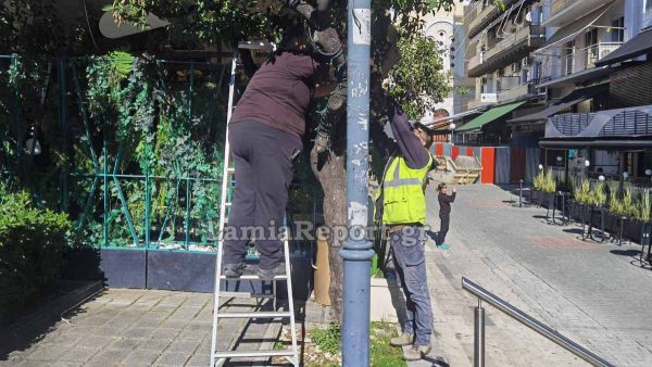 Κλείνει σήμερα Πέμπτη η Σκληβανιώτη για τον εορταστικό στολισμό