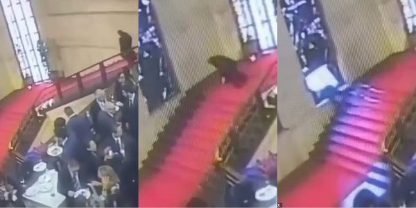 Πολιτικός σκόνταψε σε σκάλα υπουργείου και έπεσε με το κεφάλι σε βιτρό ανεκτίμητης αξίας (ΒΙΝΤΕΟ)