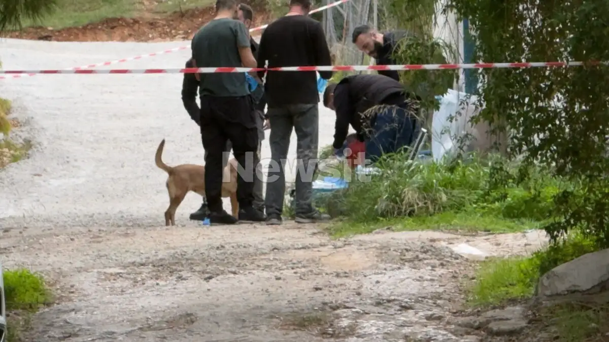 Σαλαμίνα: Το σοκαριστικό ηχητικό ντοκουμέντο από τη στιγμή της δολοφονίας της 75χρονης – «Φύγε αγόρι μου, να με σκοτώσεις ήρθες;»