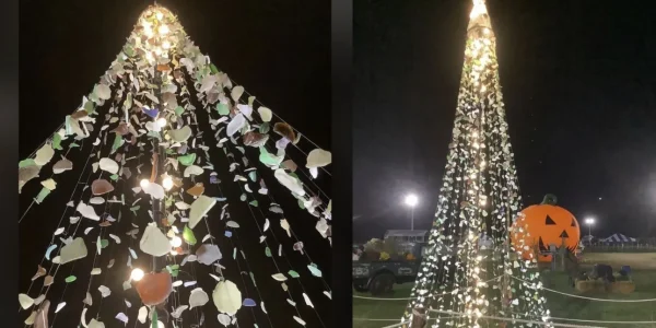 Ένα εορταστικό δέντρο από 30.000 κομμάτια γυαλιού - Η μαγεία της ανακύκλωσης σε χριστουγεννιάτικη μορφή