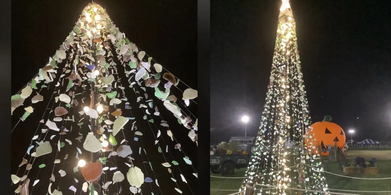 Ένα εορταστικό δέντρο από 30.000 κομμάτια γυαλιού - Η μαγεία της ανακύκλωσης σε χριστουγεννιάτικη μορφή