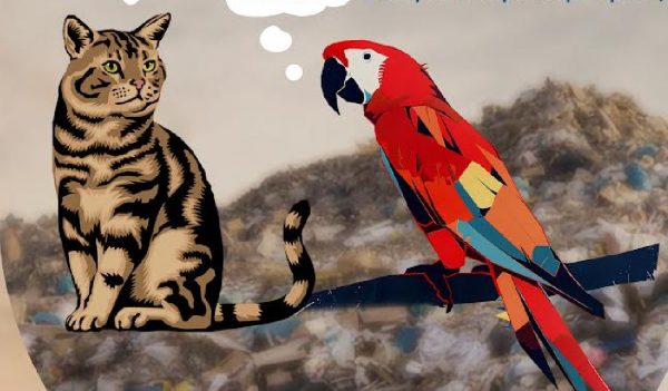 Εκπαιδευτική Παράσταση για παιδιά:  «Σαρδέλας & Κυδώνης»