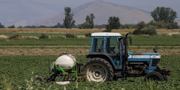 ΟΠΕΚΕΠΕ: Στη φυλακή ένας ακόμη κατηγορούμενος για παράνομες επιδοτήσεις -Στις 14 οι προφυλακίσεις