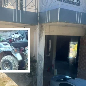 Σε στάνη είχαν κρύψει τη γουρούνα του τροχαίου με θύμα τον μικρό Ανδρέα - Ο πατέρας υπέδειξε το σημείο, δείτε βίντεο και φωτογραφία