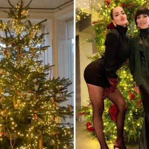 Η παράξενη τάση στα χριστουγεννιάτικα δέντρα των διασήμων που διχάζει: «Απλώς δεν έχετε γούστο»