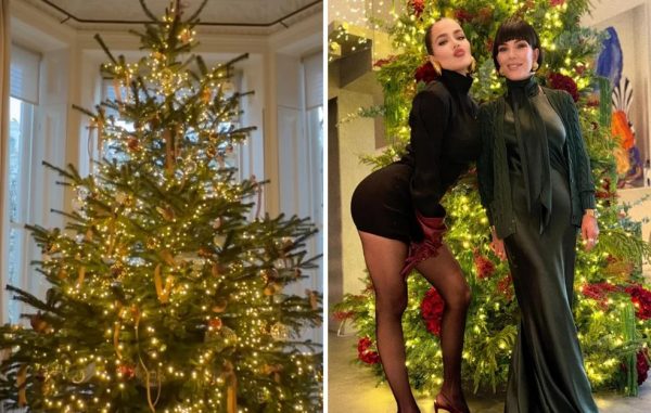 Η παράξενη τάση στα χριστουγεννιάτικα δέντρα των διασήμων που διχάζει: «Απλώς δεν έχετε γούστο»