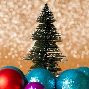 Ελάτε στη φωταγώγηση του Χριστουγεννιάτικου Δέντρου στο Προσκυνά Δήμου Λοκρών