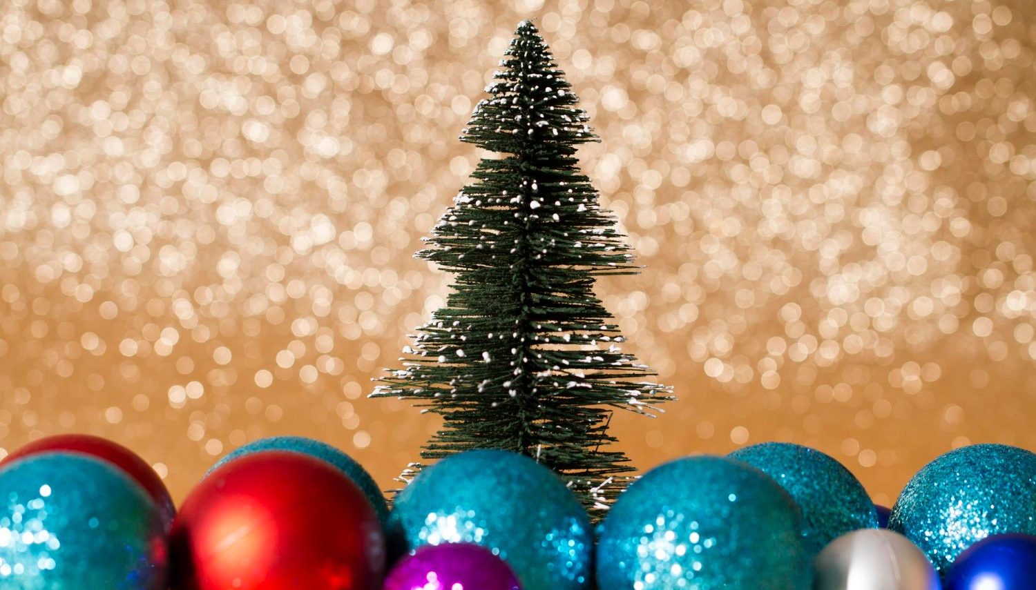 Ελάτε στη φωταγώγηση του Χριστουγεννιάτικου Δέντρου στο Προσκυνά Δήμου Λοκρών