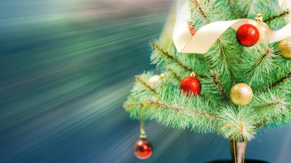 Τράκαρε με το Χριστουγεννιάτικο δέντρο (ΒΙΝΤΕΟ)