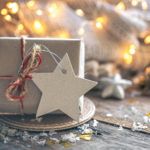 Βράβευση επιτυχόντων και Χριστουγεννιάτικη Συναυλία στη Μαλεσίνα