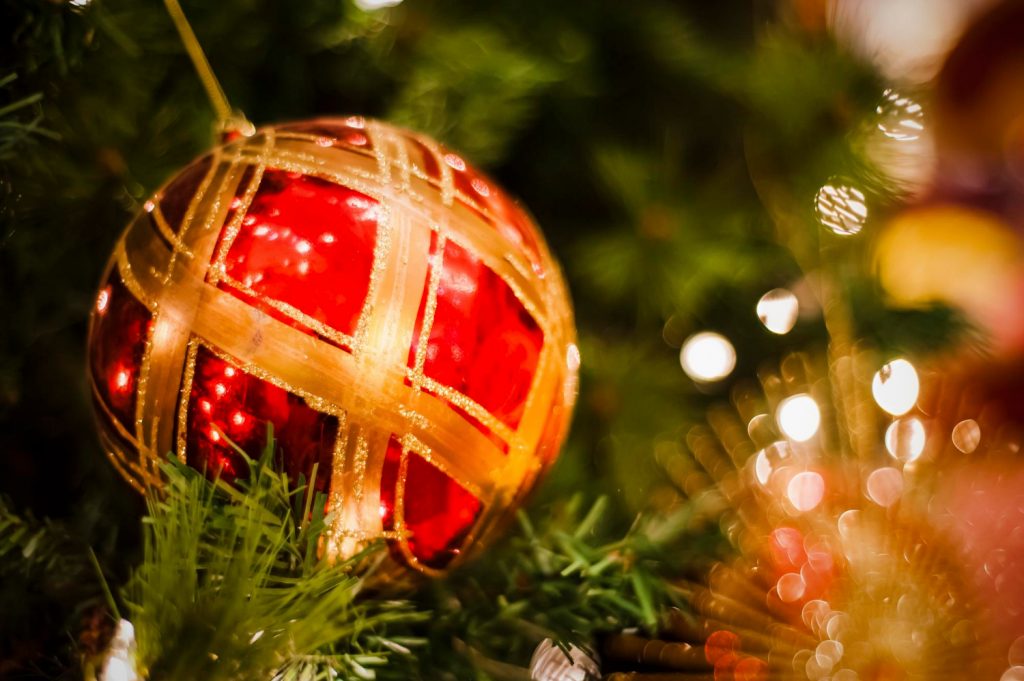 Ο Αχινός ανάβει το χριστουγεννιάτικο δέντρο του