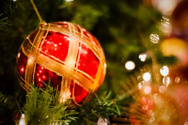 Ο Αχινός ανάβει το χριστουγεννιάτικο δέντρο του