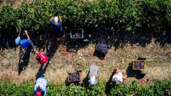Χατζηδάκης: Η πόρτα της κυβέρνησης είναι ανοιχτή για διάλογο με τους αγρότες