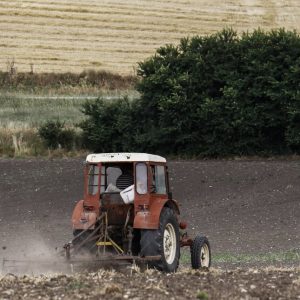Στο στόχαστρο 10 ακόμη ΑΦΜ για παράνομες επιδοτήσεις ΟΠΕΚΕΠΕ -Ανάμεσά τους ένας ακόμη αγροτοσυνδικαλιστής