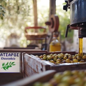 Το Ελαιοτριβείο "Κατσαρός" εύχεται σε όλους καλή και δημιουργική χρονιά!