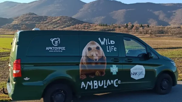 Ασθενοφόρο για αρκούδες, λύκους, ζαρκάδια και ελάφια απέκτησε ο Αρκτούρος