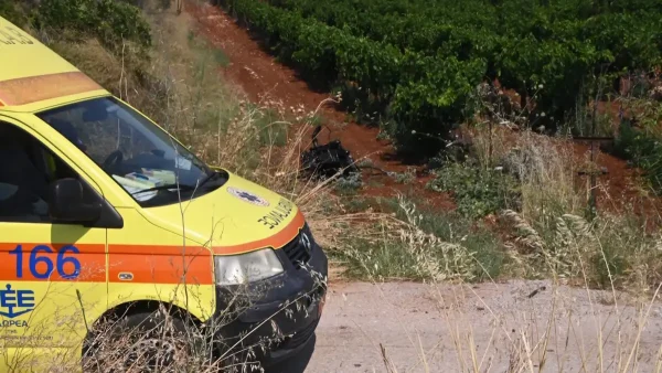 Χανιά: Χωρίς τις αισθήσεις του ανασύρθηκε οδηγός που έπεσε σε γκρεμό 70 μέτρων