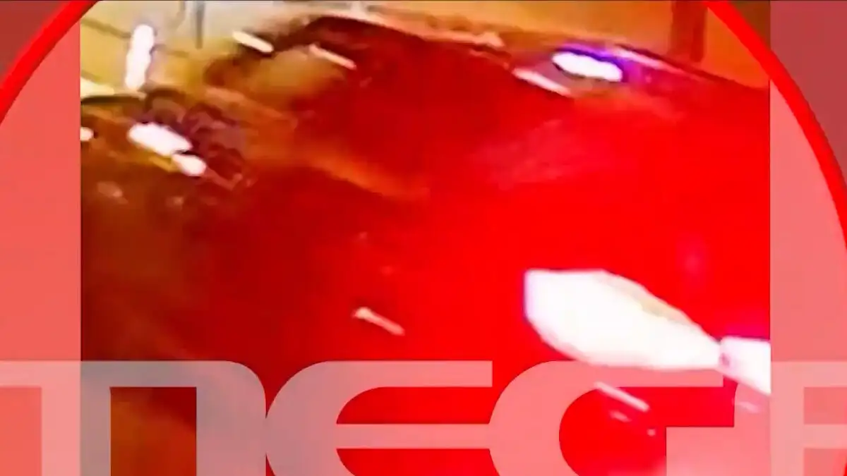 Κυπαρισσία: Νέο βίντεο ντοκουμέντο από την απαγωγή του κτηνίατρου – Δύο αυτοκίνητα με πλάστες πινακίδες στο «μικροσκόπιο»