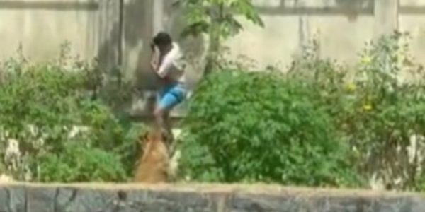 Τραγωδία σε ζωολογικό κήπο της Βραζιλίας: Νεαρός μπήκε σε κλουβί λέαινας και τον κατασπάραξε (ΒΙΝΤΕΟ)