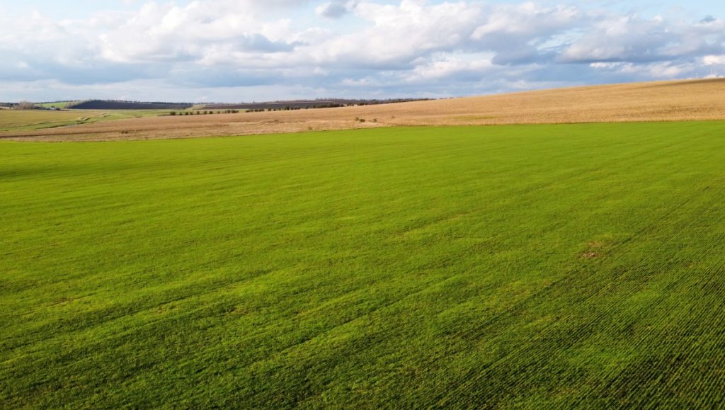 Πωλείται αγροτεμάχιο στην Αγία Παρασκευή Λαμίας