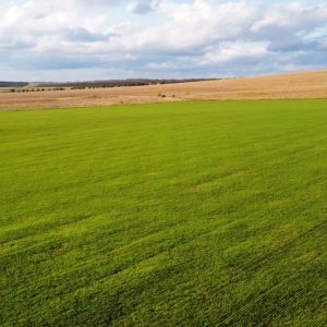 Πωλείται αγροτεμάχιο στην Αγία Παρασκευή Λαμίας