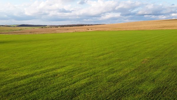 Πωλείται αγροτεμάχιο στην Αγία Παρασκευή Λαμίας