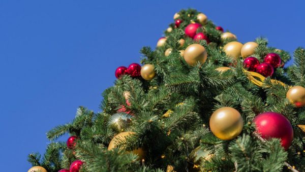 Φωταγωγούνται τα χριστουγεννιάτικα δέντρα σε κοινότητες του Δήμου Λοκρών