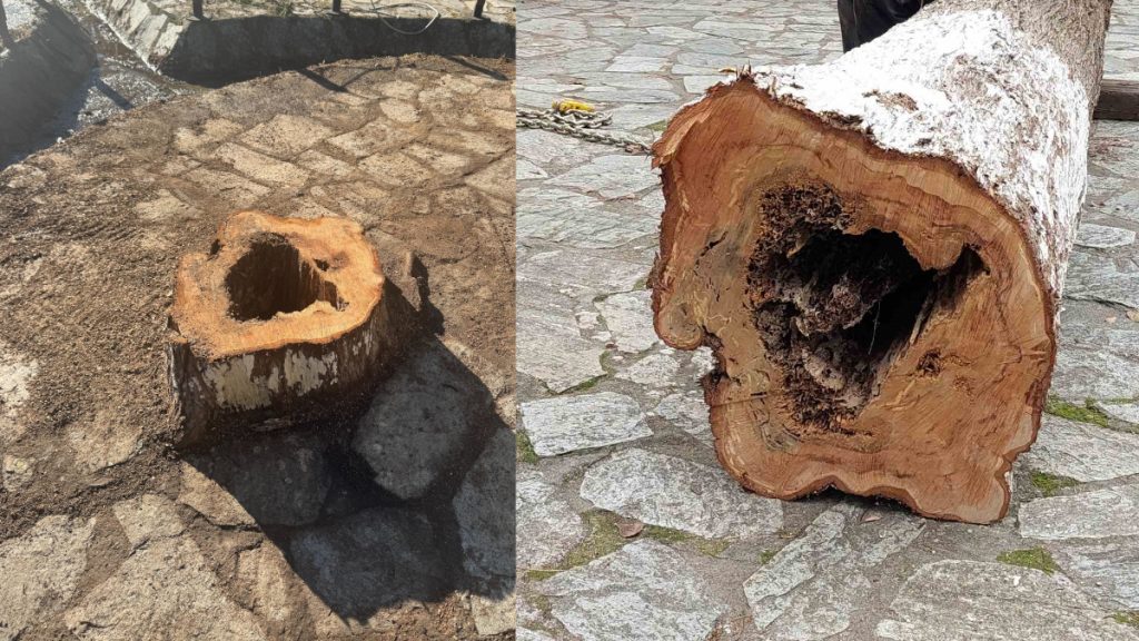 Δήμος Λαμιέων: Με γνώμονα την προστασία των πολιτών και με απόλυτο σεβασμό στο περιβάλλον οι παρεμβάσεις στον Άγιο Λουκά