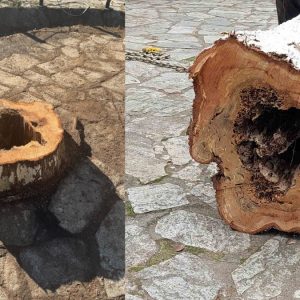 Δήμος Λαμιέων: Με γνώμονα την προστασία των πολιτών και με απόλυτο σεβασμό στο περιβάλλον οι παρεμβάσεις στον Άγιο Λουκά