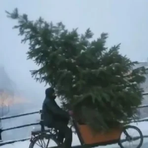 Η McDonald’s Ολλανδίας έκανε χριστουγεννιάτικη διαφήμιση με ΑΙ και δέχτηκε την κατακραυγή του κοινού