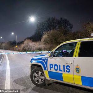 Μαίνεται ο πόλεμος συμμοριών στη Σουηδία: Ανήλικος εκτέλεσε συμβόλαιο θανάτου, αλλά σκότωσε το... λάθος άτομο