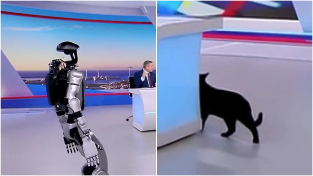 «Αναστάτωση» στο πλατό του ΣΚΑΪ με το ρομπότ Σοφία, τρόμαξε ο γάτος της εκπομπής και έφυγε τρέχοντας