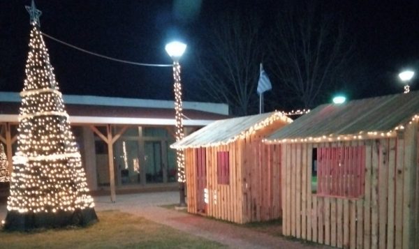 Έλαμψε το λιμάνι της Γλύφας - Το άναμμα του Χριστουγεννιάτικου δέντρου (ΦΩΤΟ)